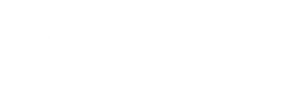 Bubble Bugs logo