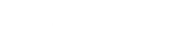 Space Raiders logo