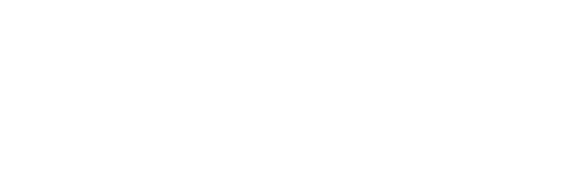 Meteor Storm logo
