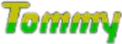 Tommy logo