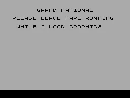 Grand National screenshot