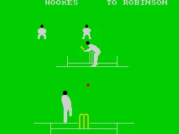 Graham Gooch's Test Cricket screenshot