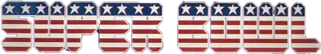 Superbowl logo