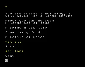 Adventure 1 screenshot