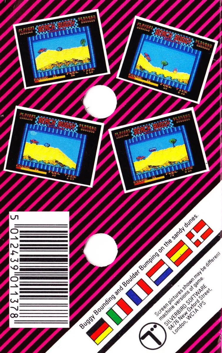 Beach Buggy Simulator box back