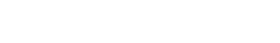 Bridge Player logo