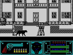 Wild Streets screenshot