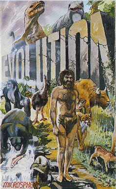 Evolution box art