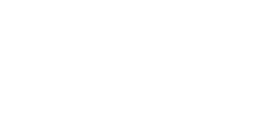 Delta Wing logo