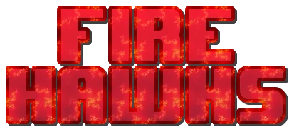 Fire Hawks logo