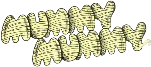 Mummy Mummy logo