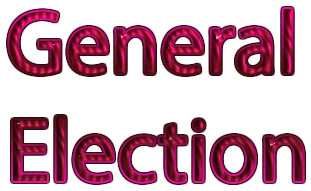 General Election logo