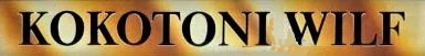 Kokotoni Wilf logo