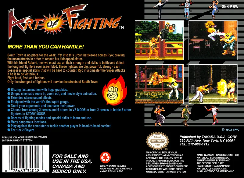 Art of Fighting box back