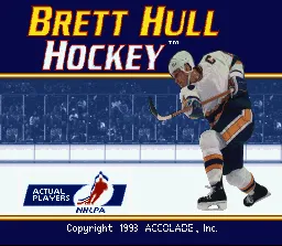 Brett Hull Hockey screenshot