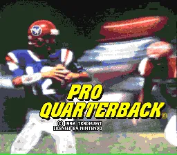 Pro Quarterback screenshot