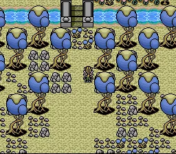Paladin's Quest screenshot