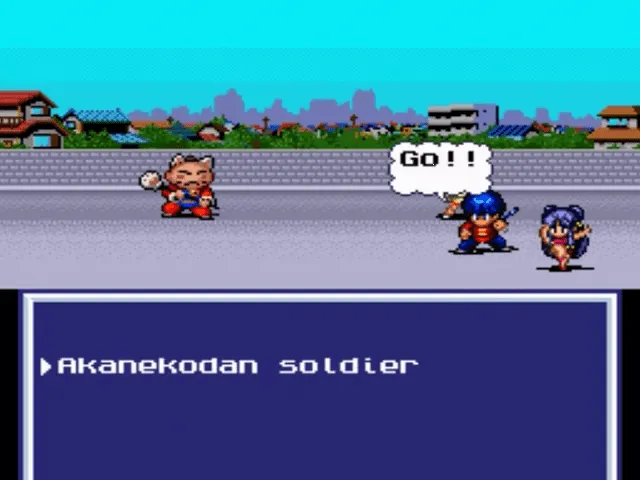 Ranma 1-2: Akanekodan Teki Hihou screenshot