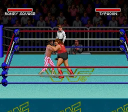 WWF Super WrestleMania screenshot