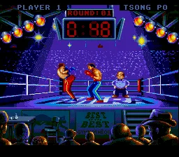 Best of the Best: Championship Karate screenshot