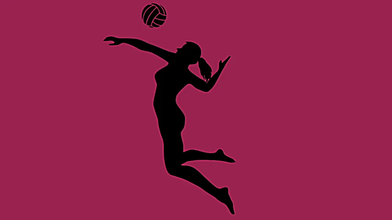 Backdrop artwork for Dig & Spike Volleyball