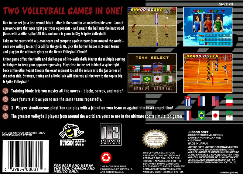 Dig & Spike Volleyball box back