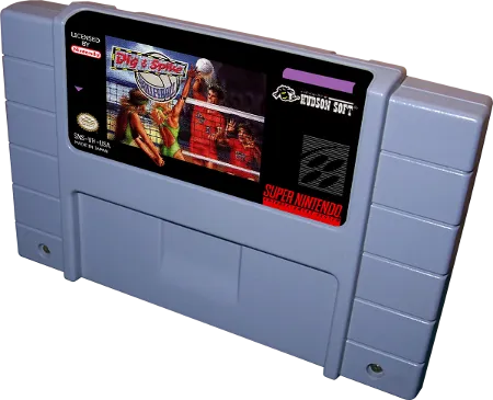 Dig & Spike Volleyball cart