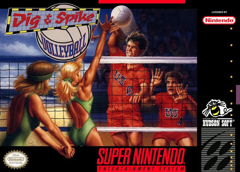 Dig & Spike Volleyball box art
