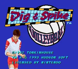 Dig & Spike Volleyball screenshot