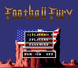 Football Fury screenshot