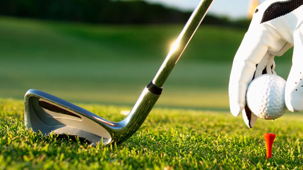 Backdrop artwork for Mecarobot Golf