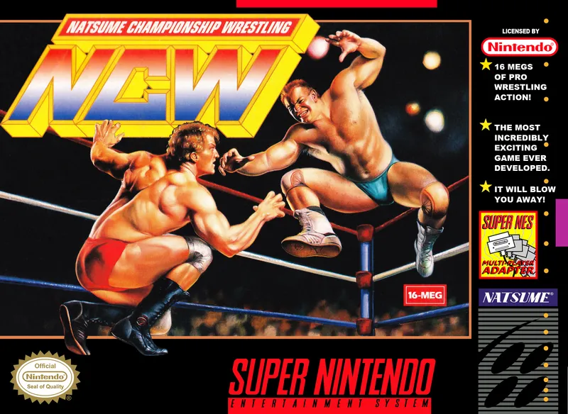 Natsume Championship Wrestling box art