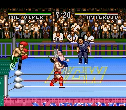 Natsume Championship Wrestling screenshot