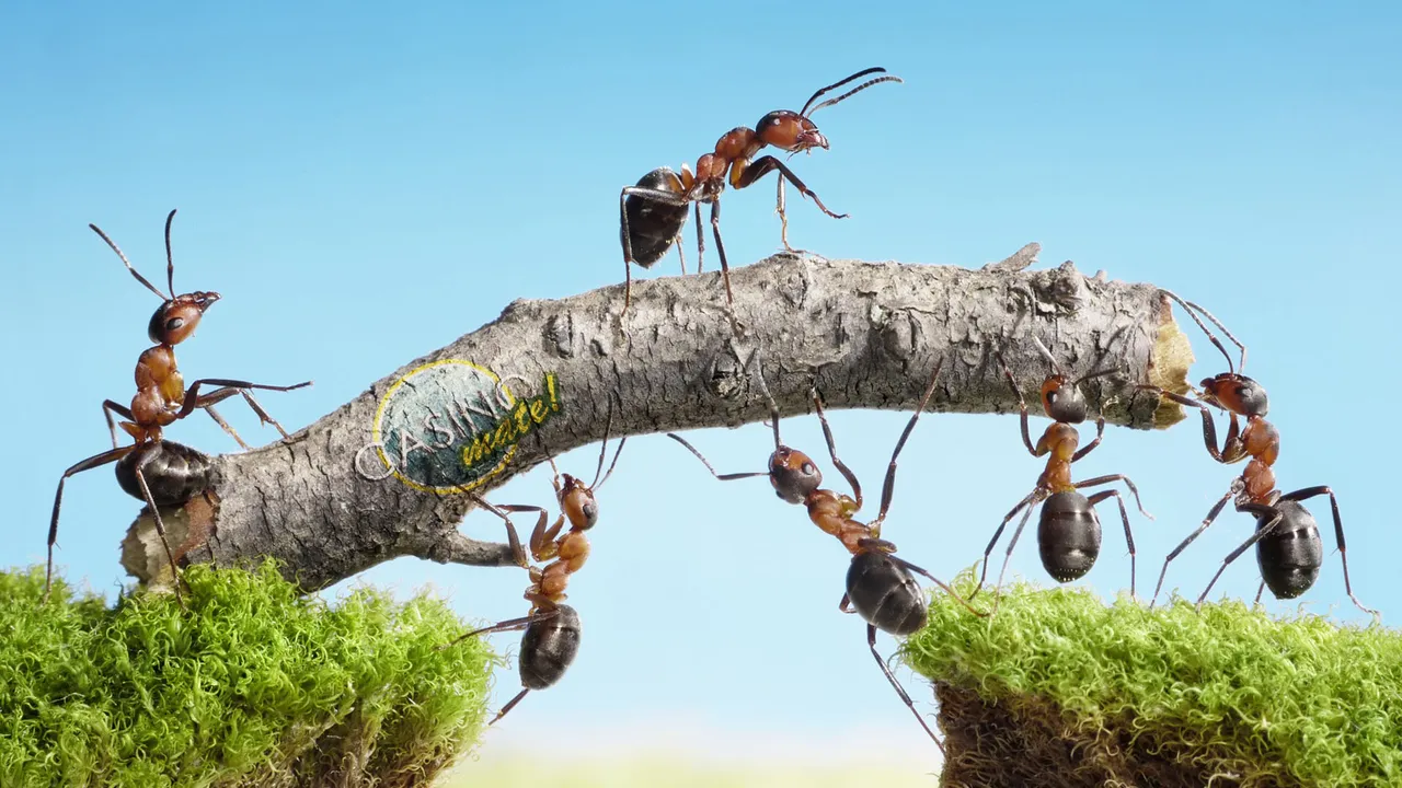 Backdrop artwork for Sim Ant: The Electronic Ant Colony