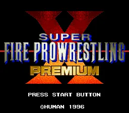 Super Fire Pro Wrestling X Premium screenshot