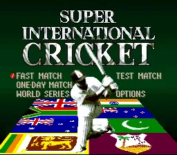 Super International Cricket screenshot