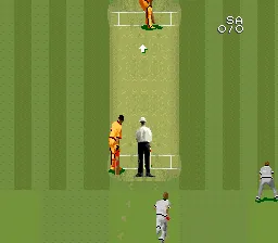 Super International Cricket screenshot