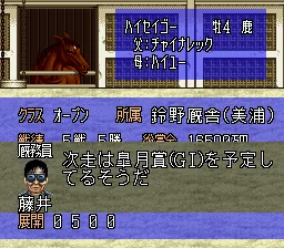 Turf Memories screenshot