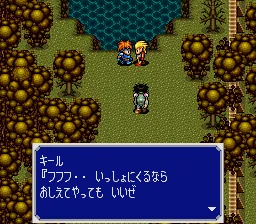 Elfaria II - The Quest of the Meld screenshot