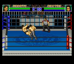 Shin Nihon Pro Wrestling Kounin - '94 Battlefield in Tokyo Dome screenshot