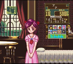 Princess Maker - Legend of Another World screenshot