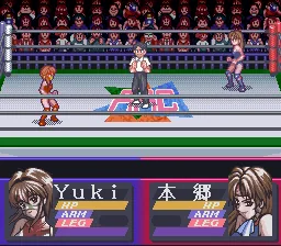 Bishoujo Wrestler Retsuden - Blizzard Yuki Rannyuu!! screenshot