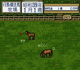 Thoroughbred Breeder II screenshot