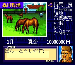 Super Kyousouba - Kaze no Sylphid screenshot