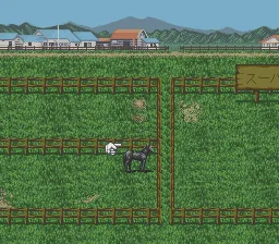 Super Keiba 2 screenshot