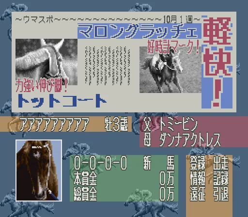Leading Jockey screenshot
