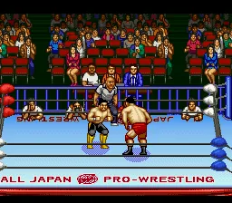 Zen-Nihon Pro Wres 2 - 3-4 Budoukan screenshot