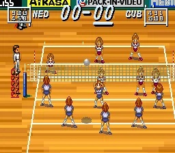 Multi Play Volleyball screenshot