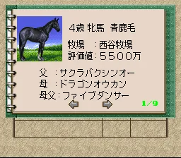 Winning Post 2 - Program '96 screenshot