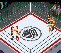 Fire Pro Joshi - All Star Dream Slam screenshot